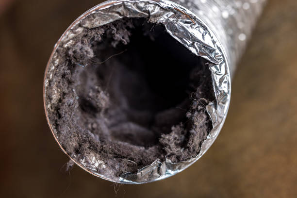 Best Local Air Duct Cleaning Services  in Birch Bay, WA