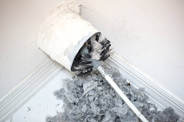 Best Dryer Vent Cleaning Services  in Birch Bay, WA